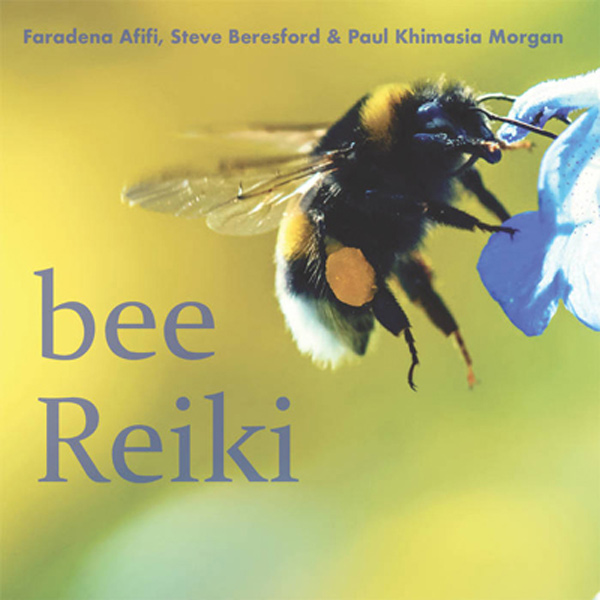 Bee Reiki cd cover